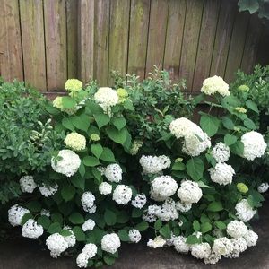 Meet your Posher, Claudia